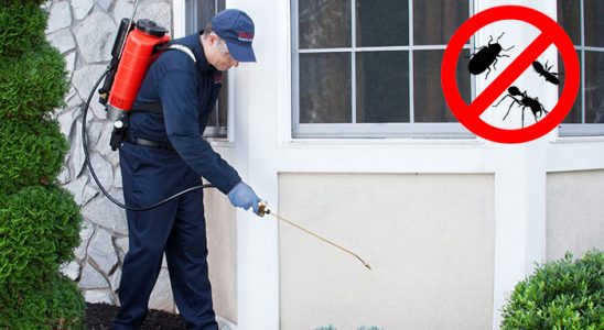 Çatalzeytin Karınca İlaçlama böcek ilaçlama ve haşere kontrolü — ilaclama-tr.com